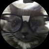 meowwonk