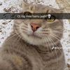sigma.biy36