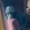 kalinka_bulgardo