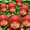sipaaacaniq