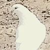 saliou.thiam117