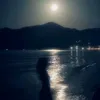 zlll6_