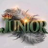 junior.le.gnie21