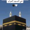 user333215885558