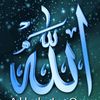 user81629467703906
