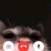 fer.nanda0666