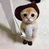 videos8591
