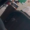 anahi.gc21