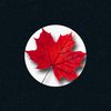 mandeep.sharma49