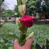 md.asif.khan358