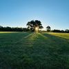 the.peaceful.natu