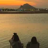 hongly12.5