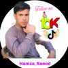 hamzasaeed14070