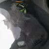 glummin