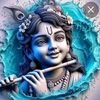 shikhor.ray4