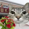 hana_huh_