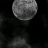 wd.majed8