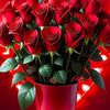 user5087058123724