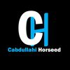 cabdullaahi_horseed