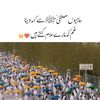 phaliapakistan695