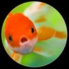 blub641