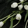 hminhanh037