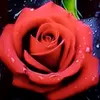 is_789j