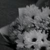 dhann_1009