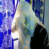 parvin3804
