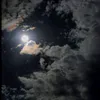 murad.elhiblu
