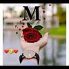 user3528626861688
