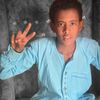 user7208279968782