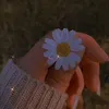 laura.pereira519