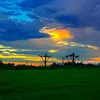 hoang.trong.minh