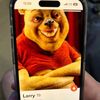 winniethepooh2027