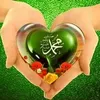 haleema.sabir