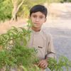 zaif0788