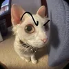 oupigoumi