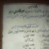 user8310903328494