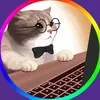 oldwithecat