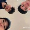 apoalaa463