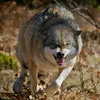 hama_nagbate36