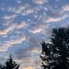 delinin_biri079