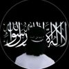 .fadel651