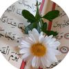user4568481234955