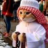 adem.mahfoud