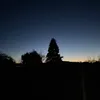 rs_1244