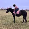 zuzaa_horses