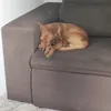 lazinhoroblox