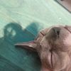 ilyes0757
